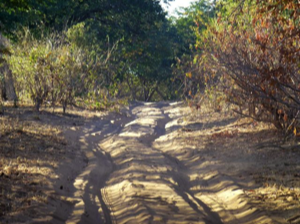 Stacks Image 62