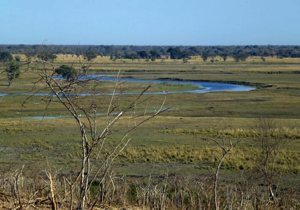 Stacks Image 66