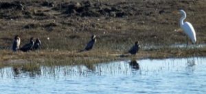 Stacks Image 82