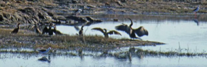 Stacks Image 85