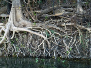 Stacks Image 3147