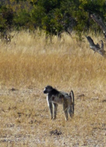 Stacks Image 1073