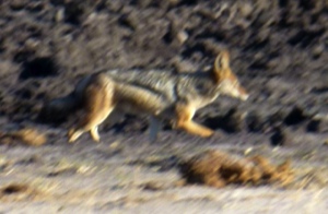 Stacks Image 1814