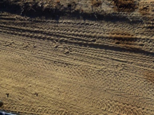Stacks Image 735
