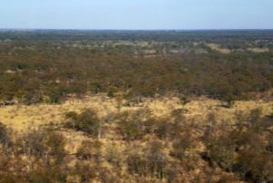 Stacks Image 1200