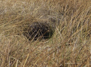 Stacks Image 1583
