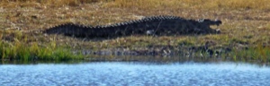 Stacks Image 1607