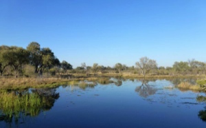 Stacks Image 1903
