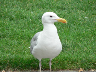 1-006AP1100840.JPG