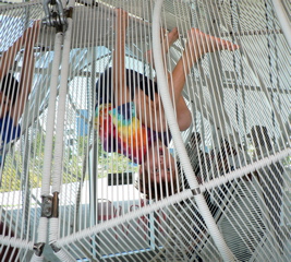 1-009P1100858.JPG