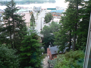 2-020P1110051.JPG