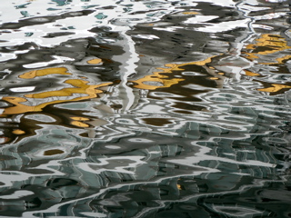 2-021AP1110069.JPG