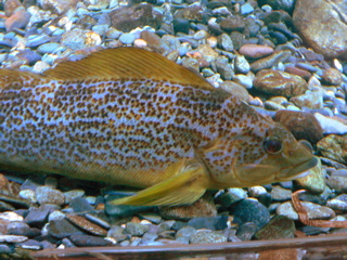 3-169AP1120153.JPG
