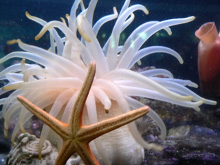3-168P1120157.JPG