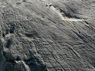 3-175AP1120195.JPG