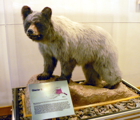 3-186P1120232.JPG