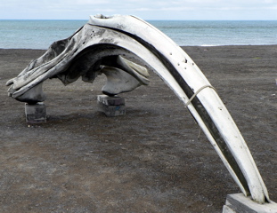 3-233AP1120410.JPG