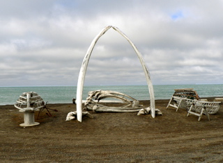 3-233AP1120415.JPG
