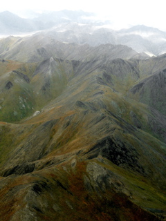 3-241AP1120482.JPG