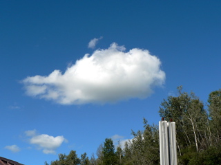 3-261AP1120609.JPG