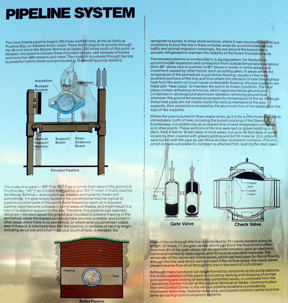 3-261AP1120611.JPG