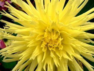 3-275AP1120706.JPG