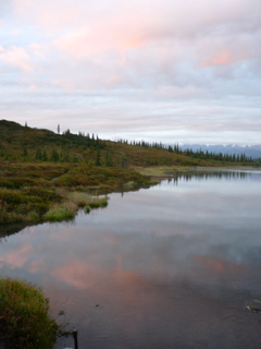 4-317P1130011.JPG