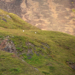 4-323AP1130080.JPG
