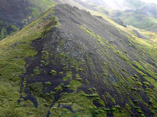 4-327AP1130093.JPG