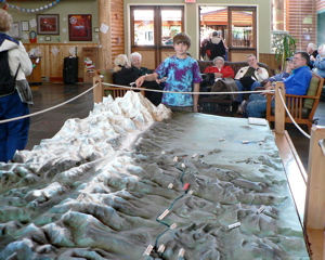 4-331P1130113.JPG