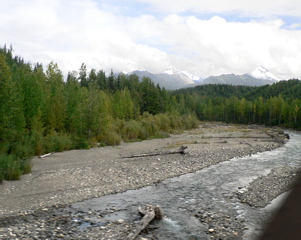4-343AP1130198.JPG