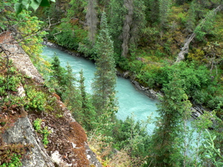 4-383P1130397.JPG
