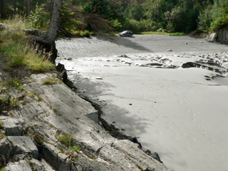 4-396P1130432.JPG