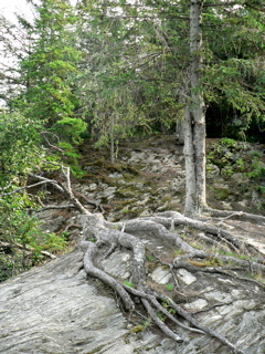 4-399AP1130445.JPG