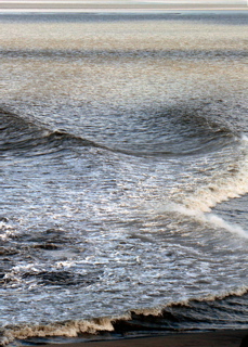 4-390P1130457.JPG