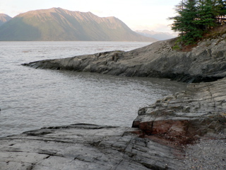 4-402P1130469.JPG