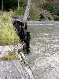 4-395P1130470.JPG