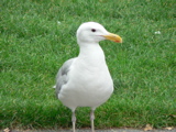 1-006AP1100840.JPG