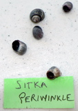 2-059AP1110481.JPG