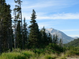 3-130AP1110897.JPG