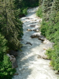 3-135AP1110970.JPG