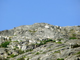 3-135AP1110986.JPG