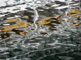 2-021AP1110069.JPG