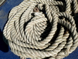 3-142AP1120025.JPG
