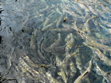 3-169P1120127.JPG