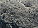 3-175AP1120195.JPG
