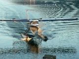 3-176AP1120197.JPG