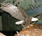 3-181AP1120219.JPG