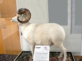 3-185P1120229.JPG