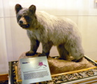 3-186P1120232.JPG
